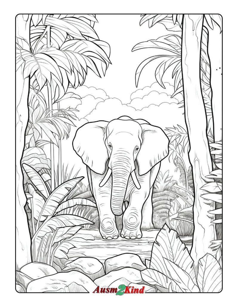 Ausmalbilder Dschungel. 18 Stück Malvorlagen - Drucken