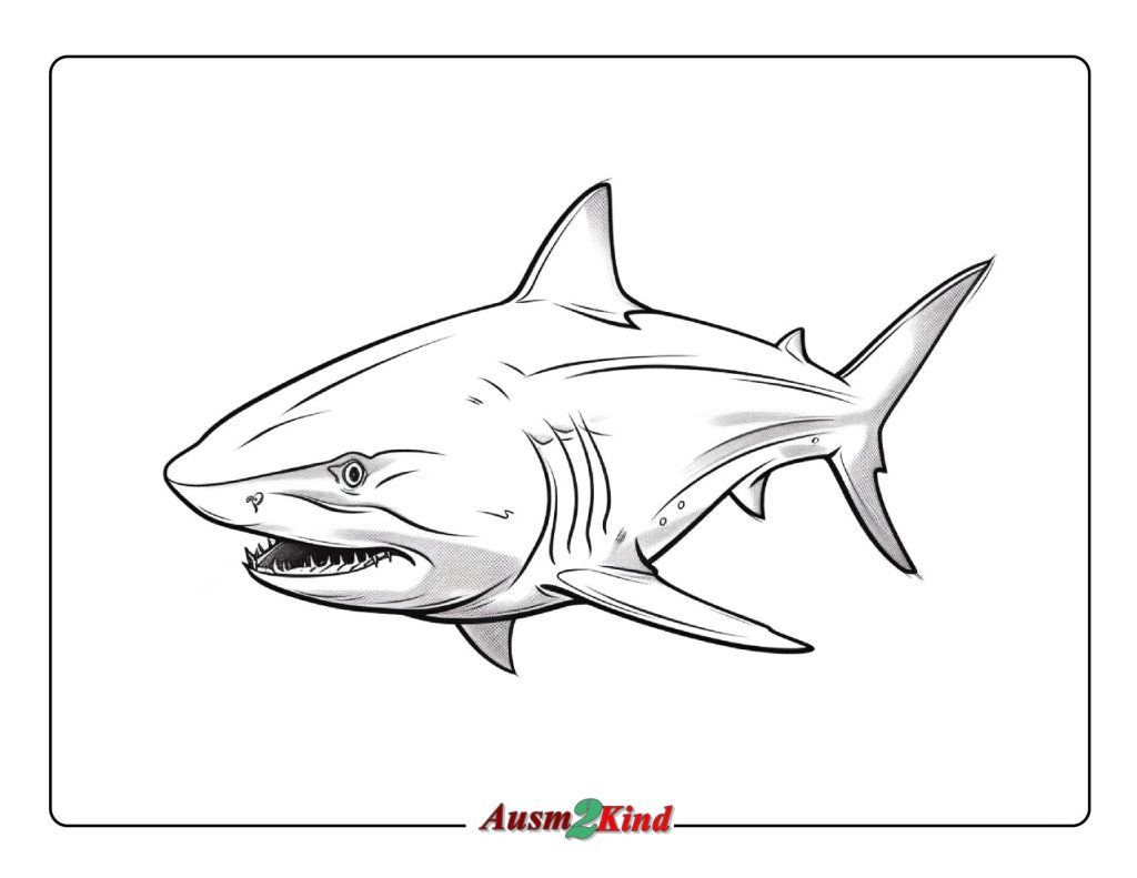 Ausmalbilder Hai. 19 Stück Malvorlagen Tiere - Drucken