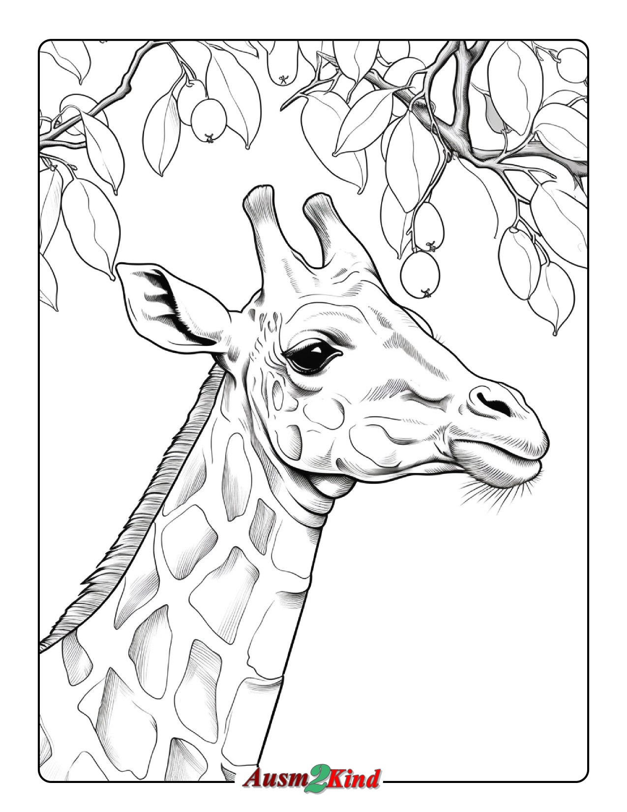 Ausmalbilder Giraffen. 36 Stück Malvorlagen - Drucken
