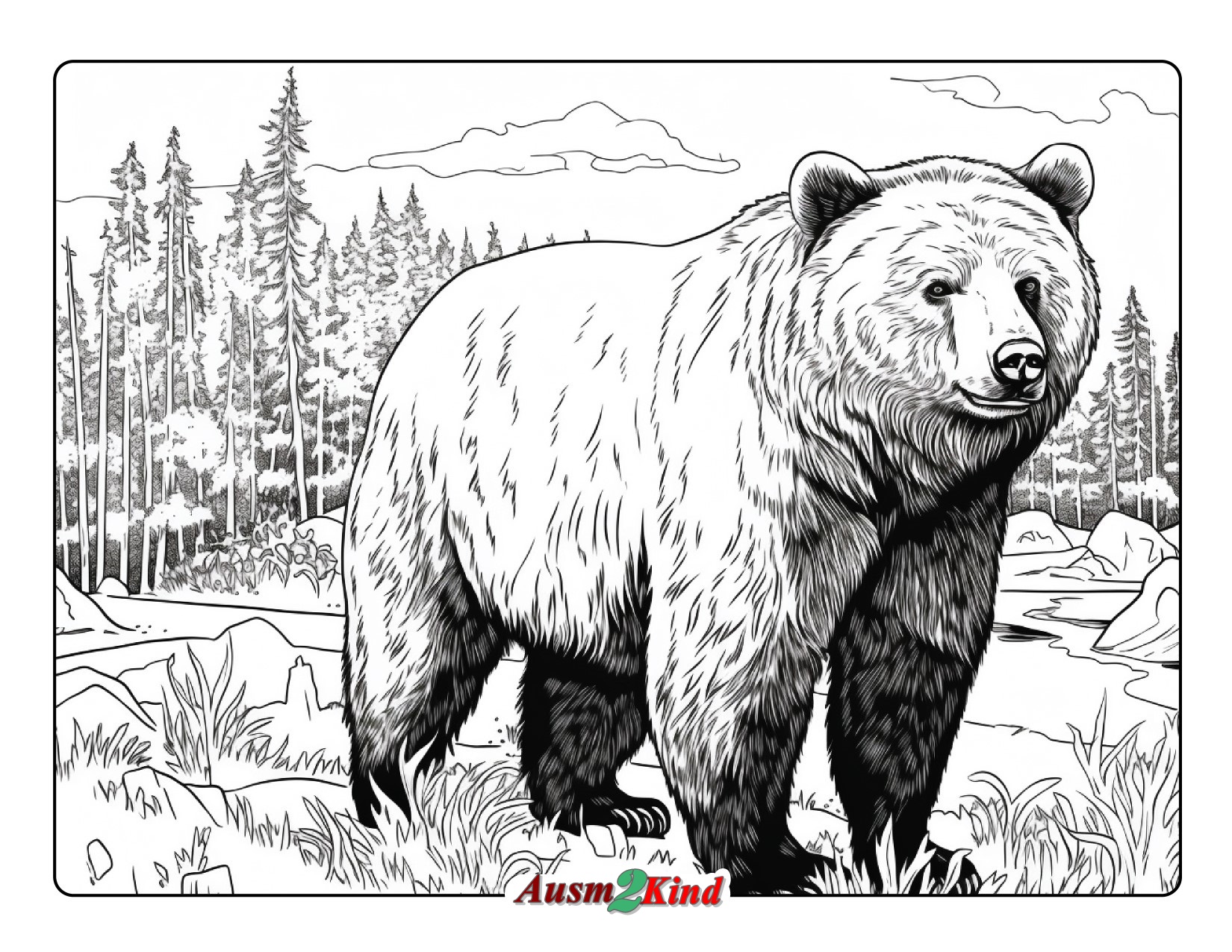 Ausmalbilder Bären für Erwachsene - Kostenlos als PDF