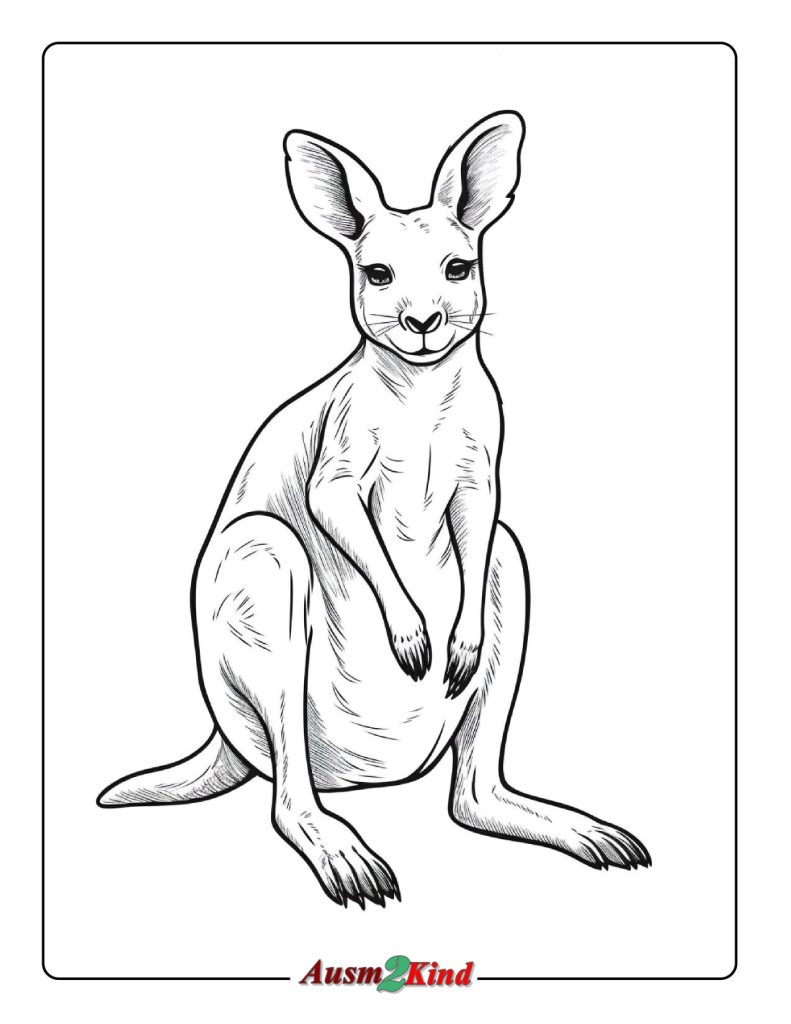 Ausmalbilder KänguruKostenlos als PDF - Drucken 