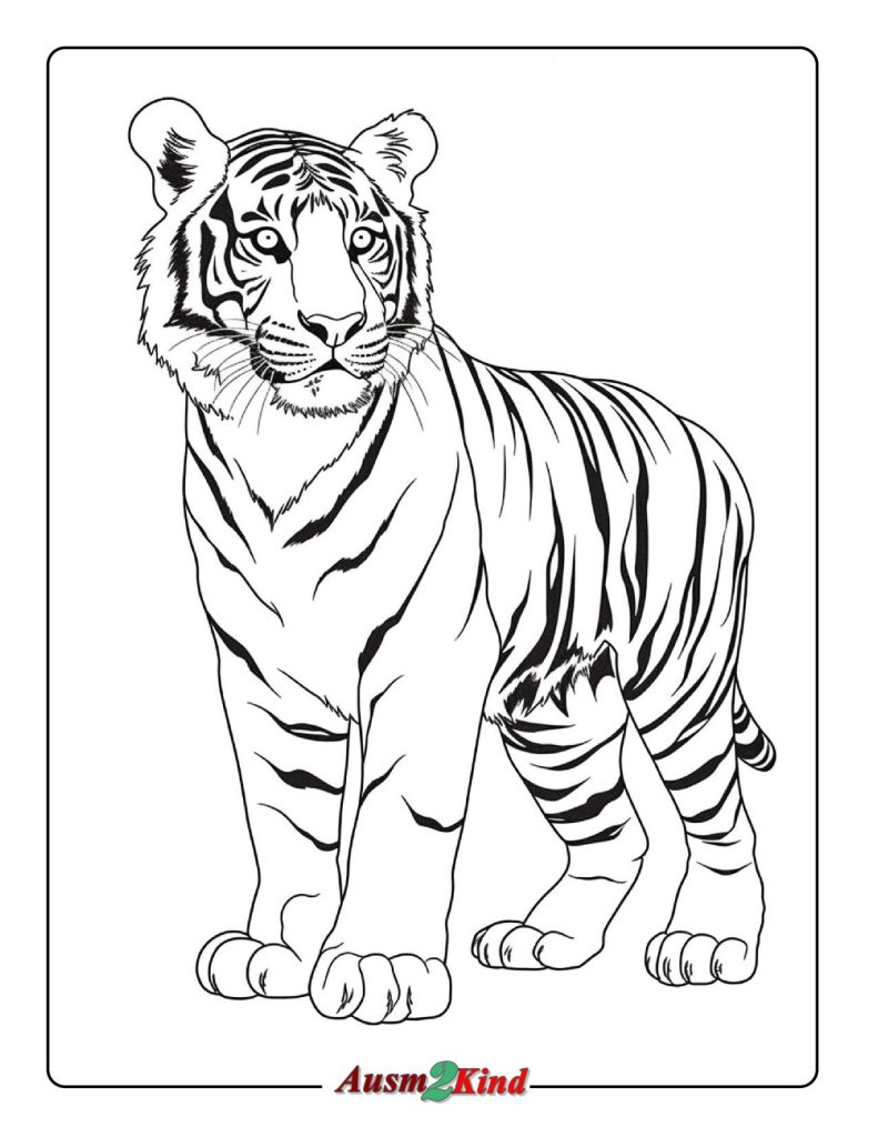 Ausmalbilder Tiger