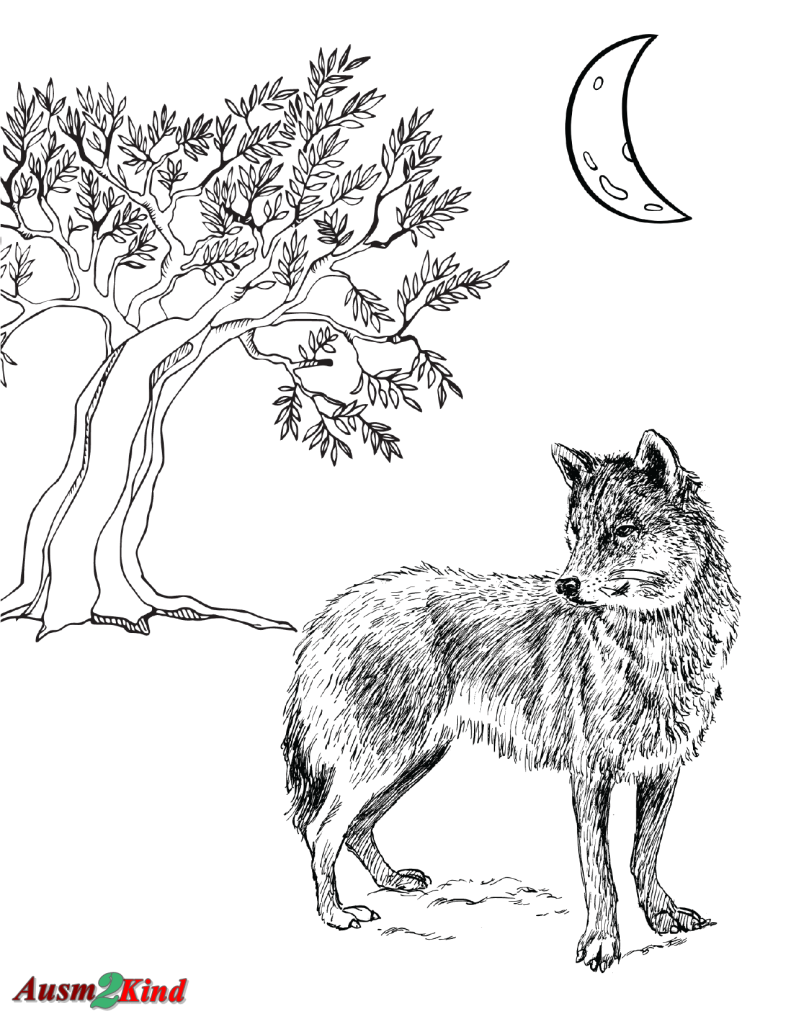 Ausmalbilder Wolf und Mond