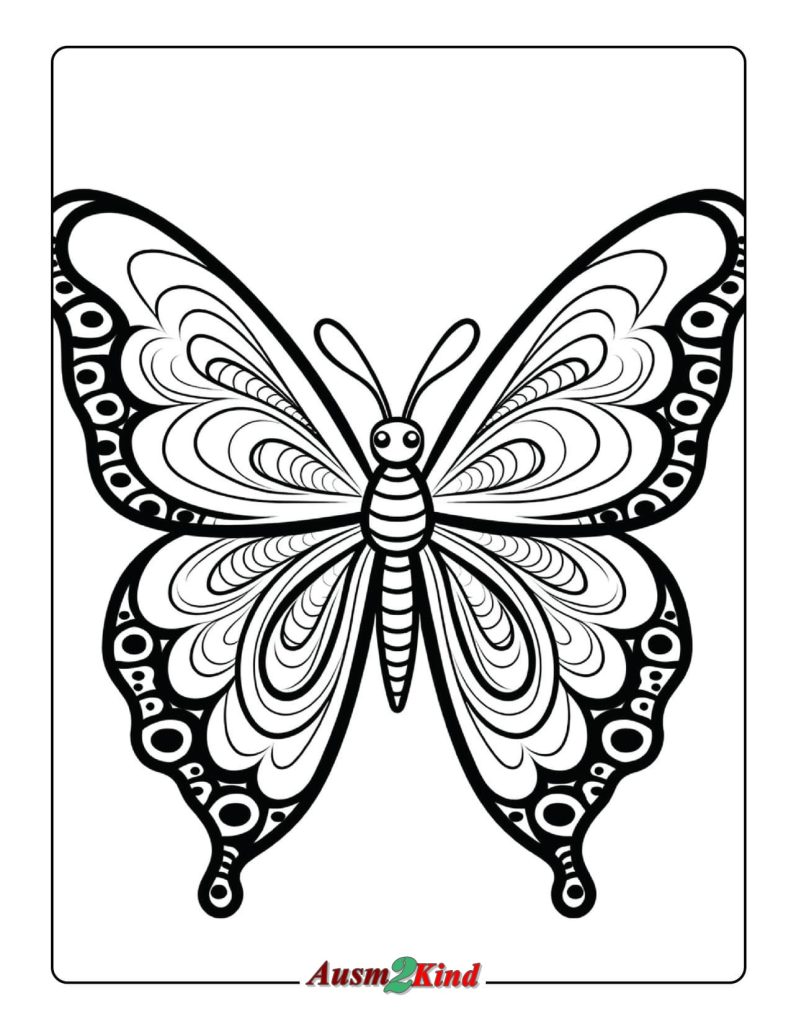 Malvorlage Schmetterling für Erwachsene und Kinder