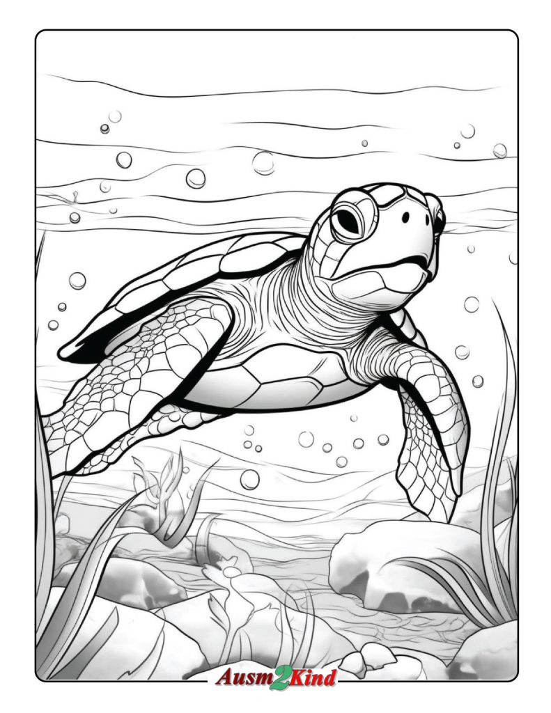 Schildkröten Ausmalbilder zum Ausdrucken - Kostenlos