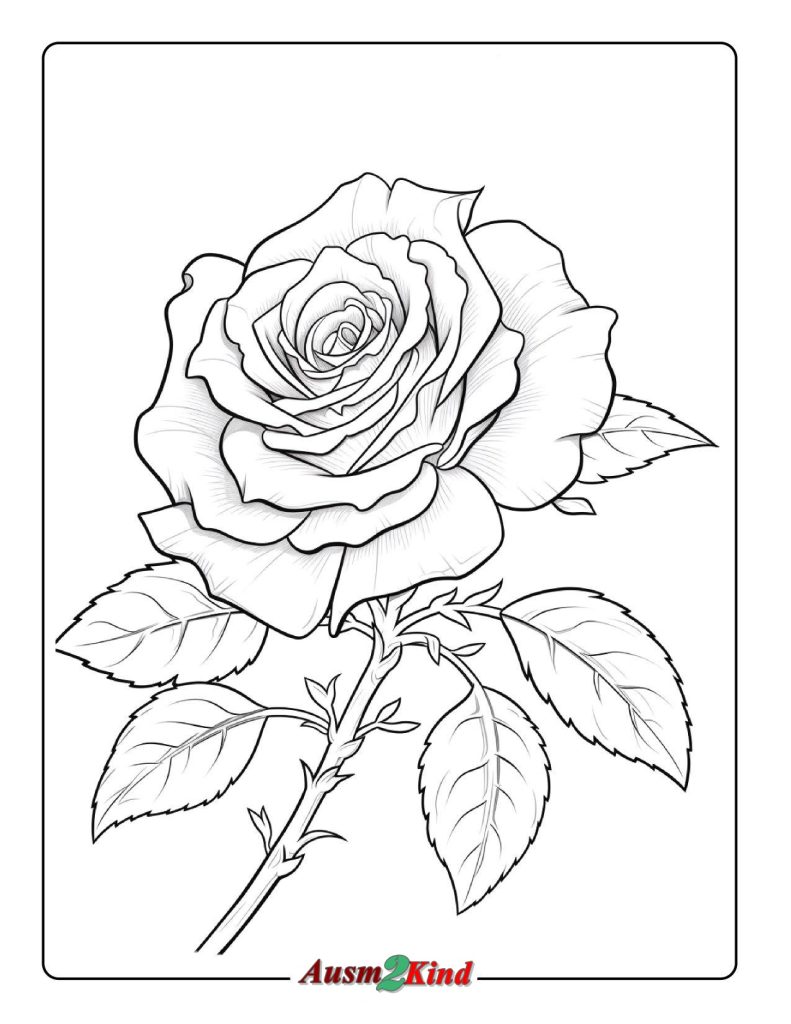Ausmalbild Blühende Rose zum Ausdrucken