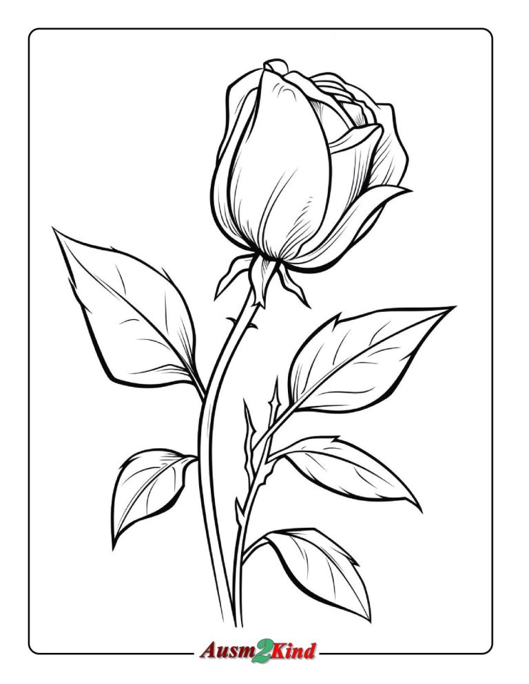 Ausmalbilder Rose. 19 Stück Malvorlagen Blumen – Kostenlos