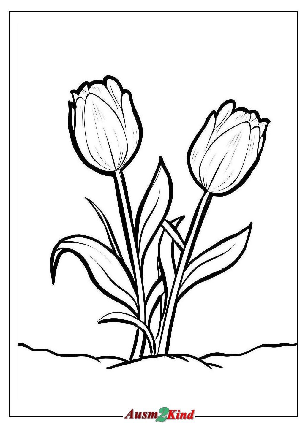 Ausmalbild Tulpe zum Ausdrucken - Kostenlos