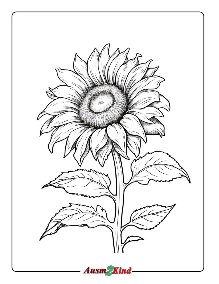 Ausmalbilder Sonnenblume. 20 Stück Große Sammlung – Kostenlos