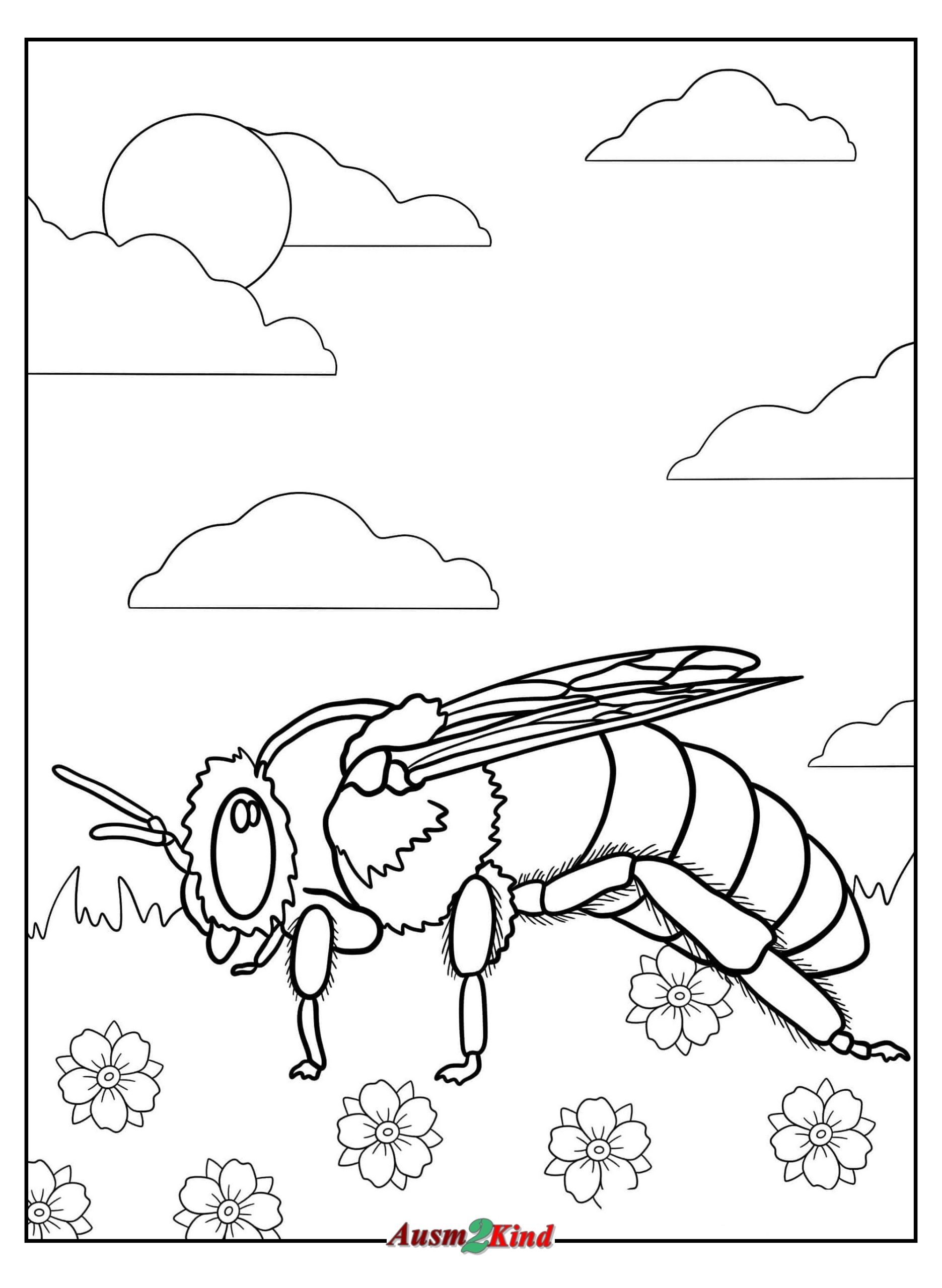 Detailliertes Ausmalbild Biene sitzt auf Gras